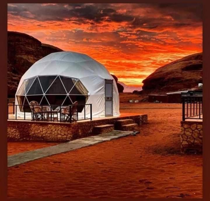 Desert Beauty - Ram Vadisi Dış mekan fotoğraf